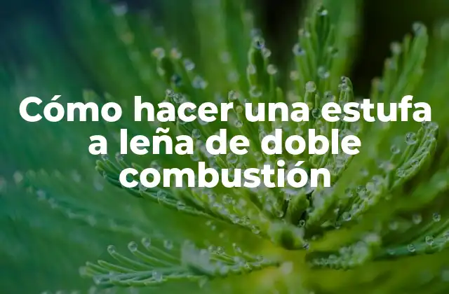 Cómo hacer una estufa a leña de doble combustión