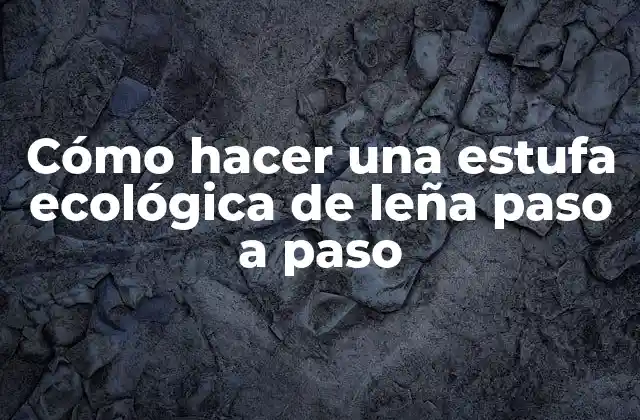 Cómo Hacer una Estufa Ecológica de Leña Paso a Paso