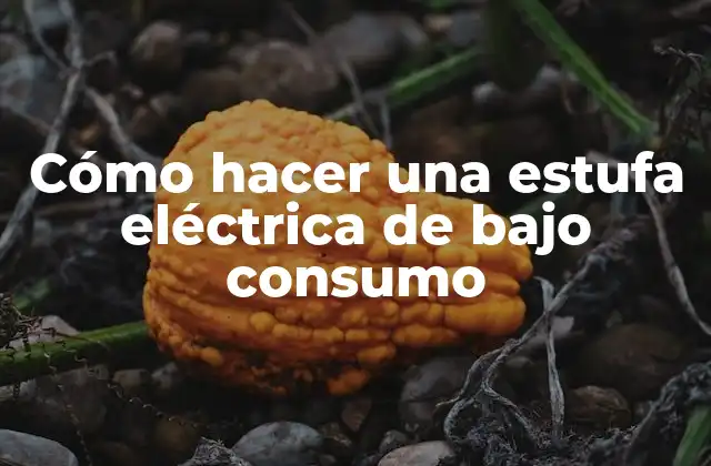 Cómo Hacer una Estufa Eléctrica de bajo Consumo 2 ¿Qué es una estufa eléctrica de bajo consumo y para qué sirve?