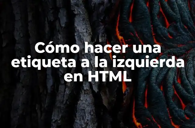 Cómo Hacer una Etiqueta a la Izquierda en Html