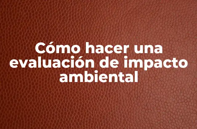 Cómo Hacer una Evaluación de Impacto Ambiental