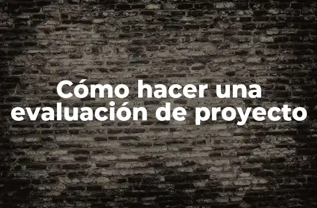 Cómo Hacer una Evaluación de Proyecto