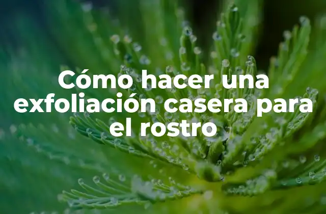 Cómo Hacer una Exfoliación Casera para el Rostro 2 ¿Qué es una exfoliación casera para el rostro?