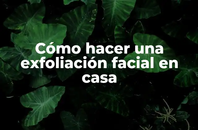 Cómo Hacer una Exfoliación Facial en Casa
