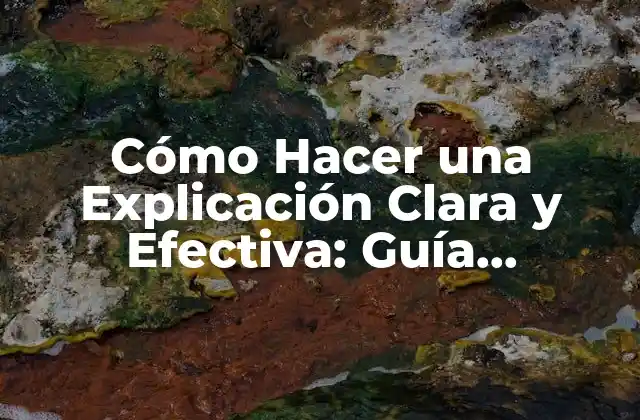 Cómo Hacer una Explicación Clara y Efectiva: Guía Completa para Hacer Explainer