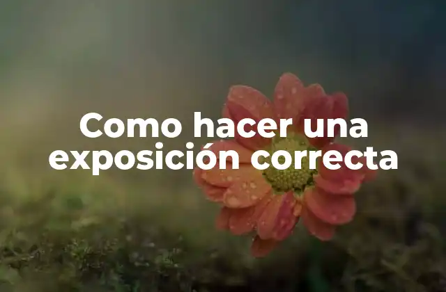 ¿Qué es una exposición correcta?