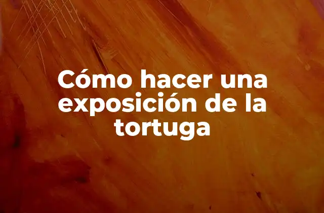 Cómo Hacer una Exposición de la Tortuga