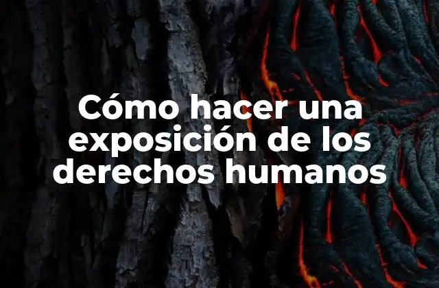 Cómo Hacer una Exposición de los Derechos Humanos