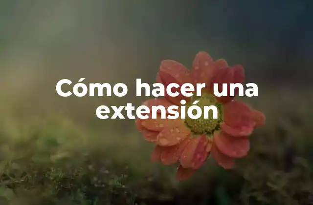 Cómo Hacer una Extensión