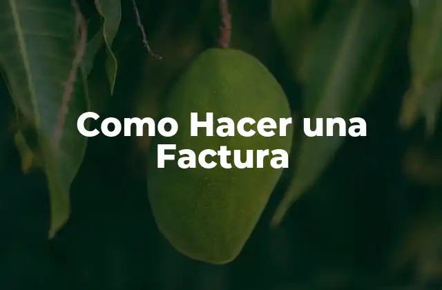 Como Hacer una Factura 2 Que es una Factura y para que Sirve