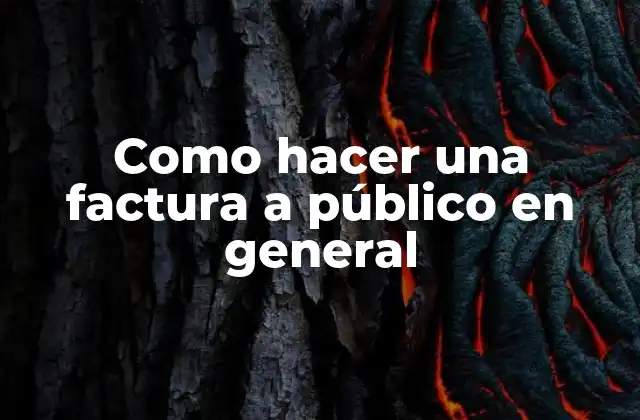 Como Hacer una Factura a Público en General 2 Como hacer una factura a público en general