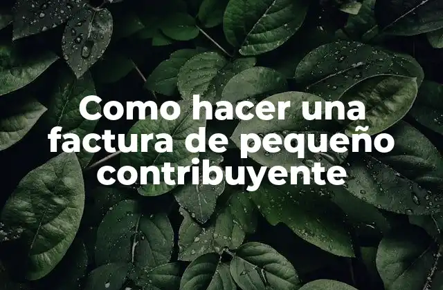 Como Hacer una Factura de Pequeño Contribuyente