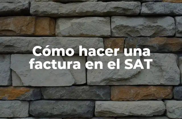 Cómo Hacer una Factura en el Sat