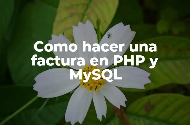 Como Hacer una Factura en Php y Mysql