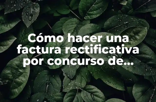 Factura rectificativa por concurso de acreedores