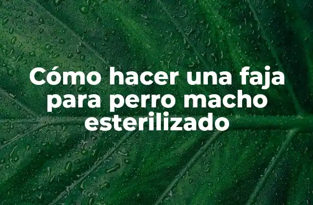 Cómo Hacer una Faja para Perro Macho Esterilizado