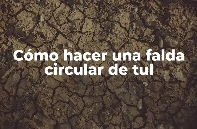 Cómo Hacer una Falda Circular de Tul