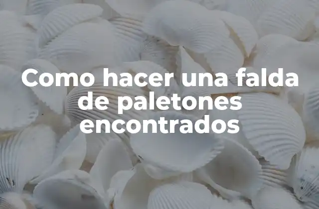 Como Hacer una Falda de Paletones Encontrados