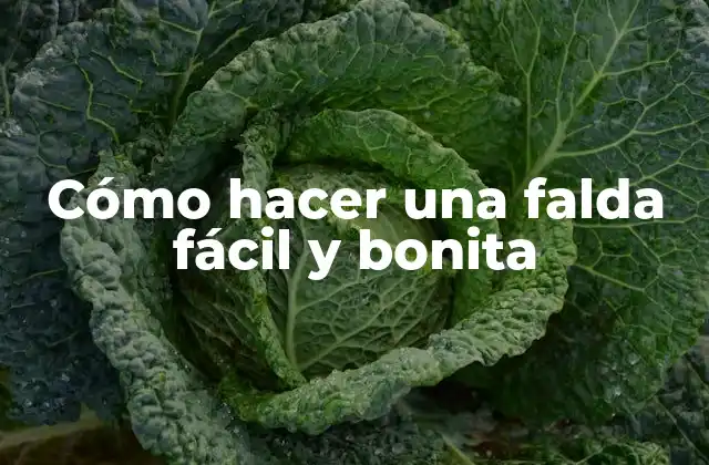Cómo Hacer una Falda Fácil y Bonita