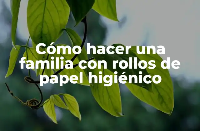 Cómo Hacer una Familia con Rollos de Papel Higiénico