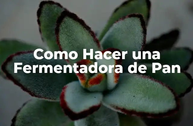 Como Hacer una Fermentadora de Pan