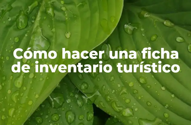 Cómo Hacer una Ficha de Inventario Turístico