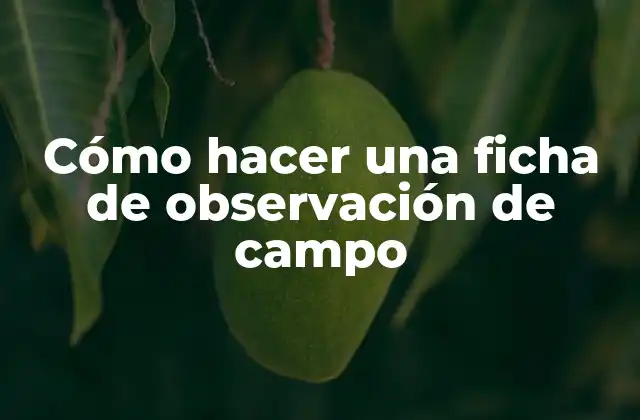 Cómo Hacer una Ficha de Observación de Campo