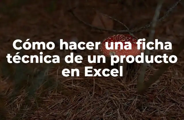 Cómo Hacer una Ficha Técnica de un Producto en Excel