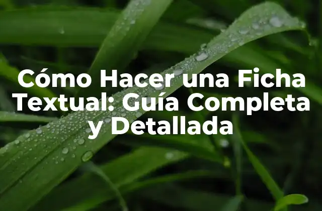 Cómo Hacer una Ficha Textual: Guía Completa y Detallada