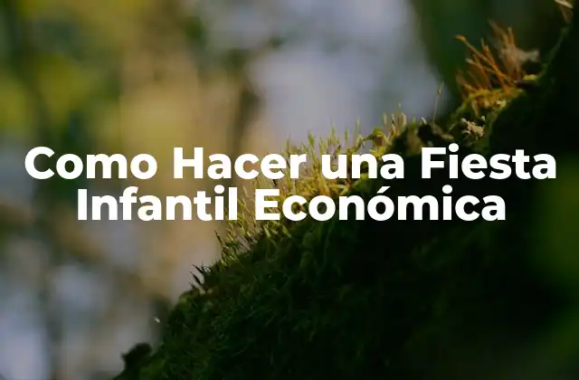 Como Hacer una Fiesta Infantil Económica