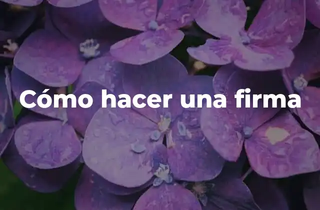 Cómo Hacer una Firma