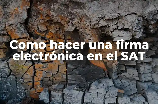 Como Hacer una Firma Electrónica en el Sat