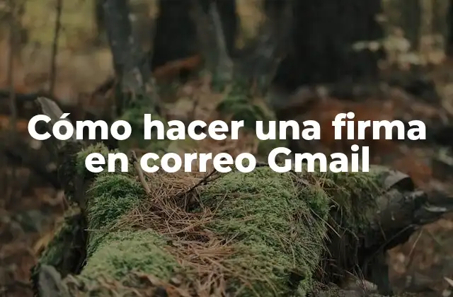 Cómo Hacer una Firma en Correo Gmail