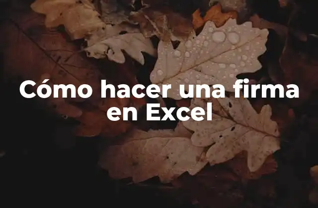 Cómo Hacer una Firma en Excel