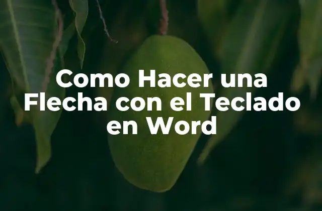 Como Hacer una Flecha con el Teclado en Word