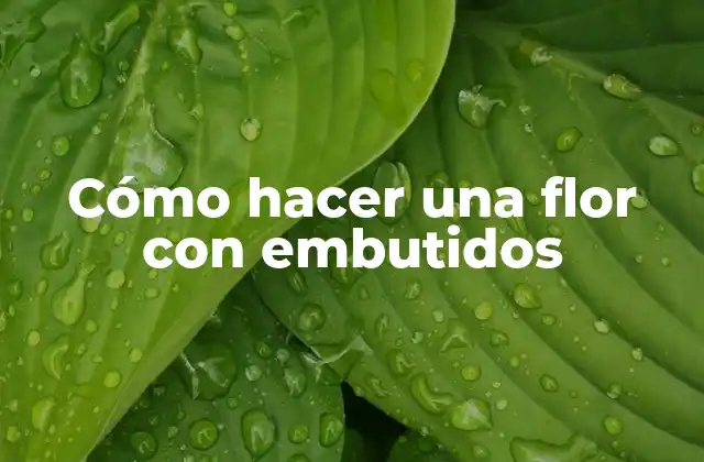 Cómo Hacer una Flor con Embutidos