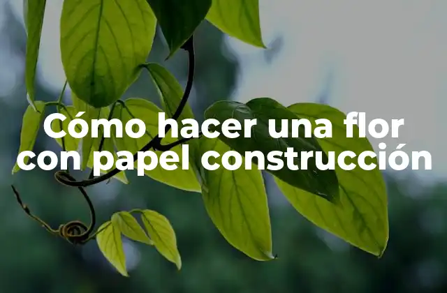 Cómo Hacer una Flor con Papel Construcción