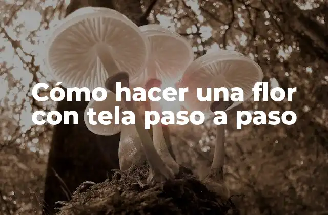 Cómo Hacer una Flor con Tela Paso a Paso