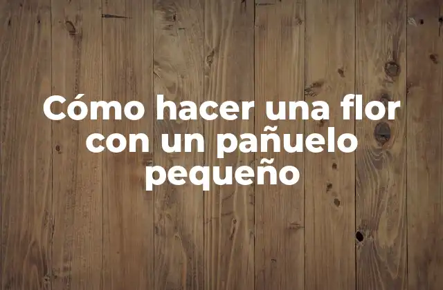 Cómo Hacer una Flor con un Pañuelo Pequeño