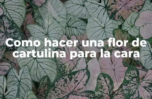 ¿Qué es una flor de cartulina para la cara?