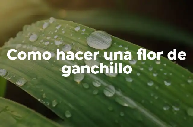 Como Hacer una Flor de Ganchillo
