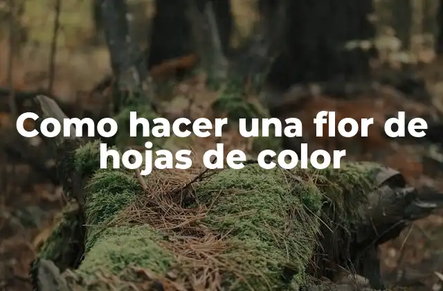 Como Hacer una Flor de Hojas de Color