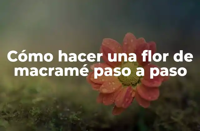 Cómo Hacer una Flor de Macramé Paso a Paso
