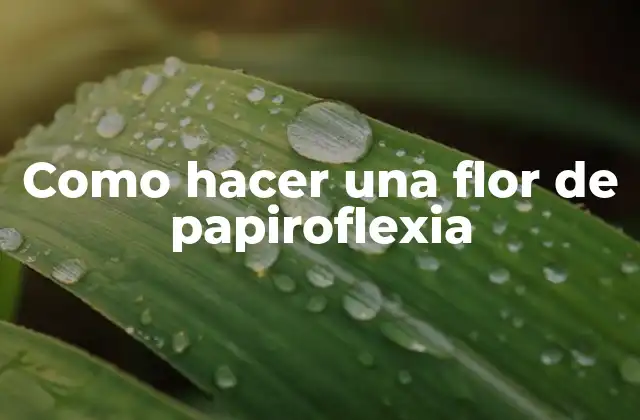 Como Hacer una Flor de Papiroflexia 2 ¿Qué es la papiroflexia y para qué sirve?