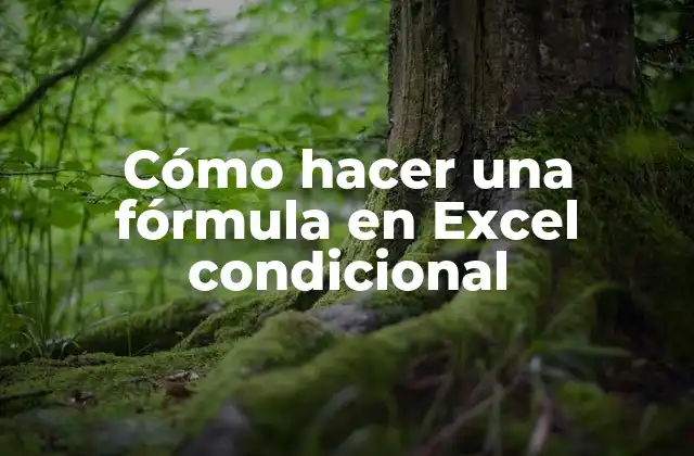 Cómo Hacer una Fórmula en Excel Condicional