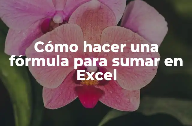 Cómo Hacer una Fórmula para Sumar en Excel 2 ¿Qué es una fórmula de sumatoria en Excel?