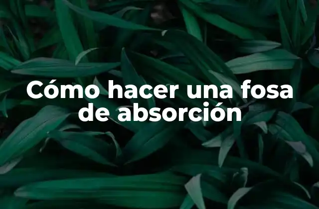 Cómo Hacer una Fosa de Absorción