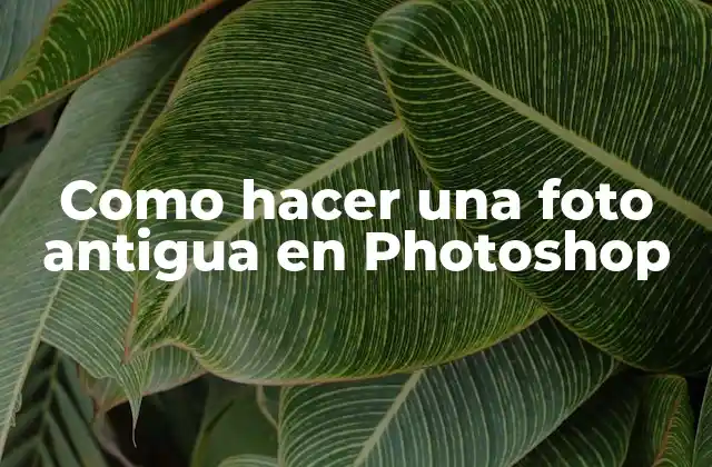 Como Hacer una Foto Antigua en Photoshop