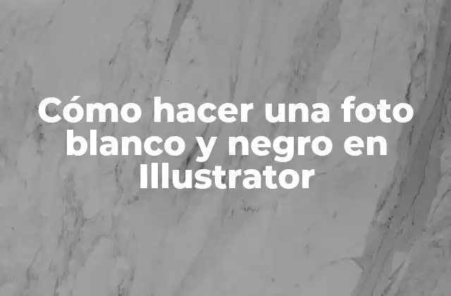 Cómo Hacer una Foto Blanco y Negro en Illustrator