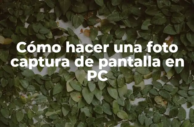 Cómo Hacer una Foto Captura de Pantalla en Pc